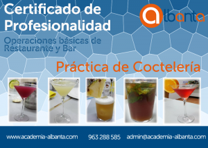 Curso SERVEF operaciones bar cocketeles